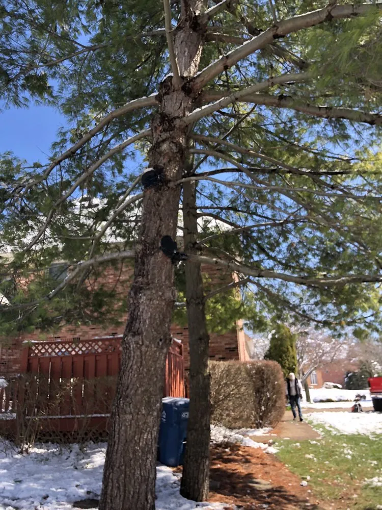 Trusted lawn mowing service with custom design across Louisville, KY - Gravel Blades Lawn & Landscape