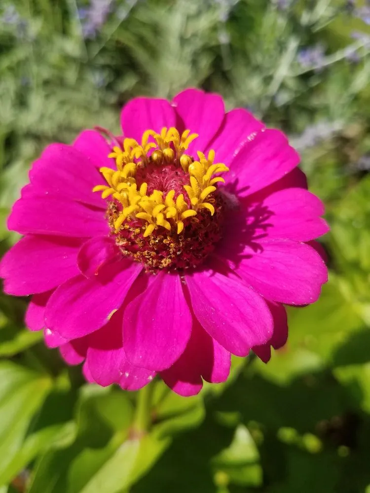 Expert landscape installation for outdoor upgrades across Framingham, MA - Graveline landscaping