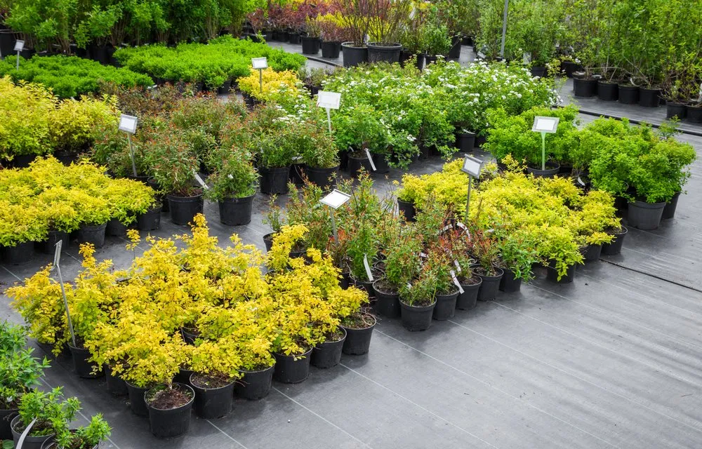 Top-rated lawn care service in Maryville, TN by Gravelly Creek