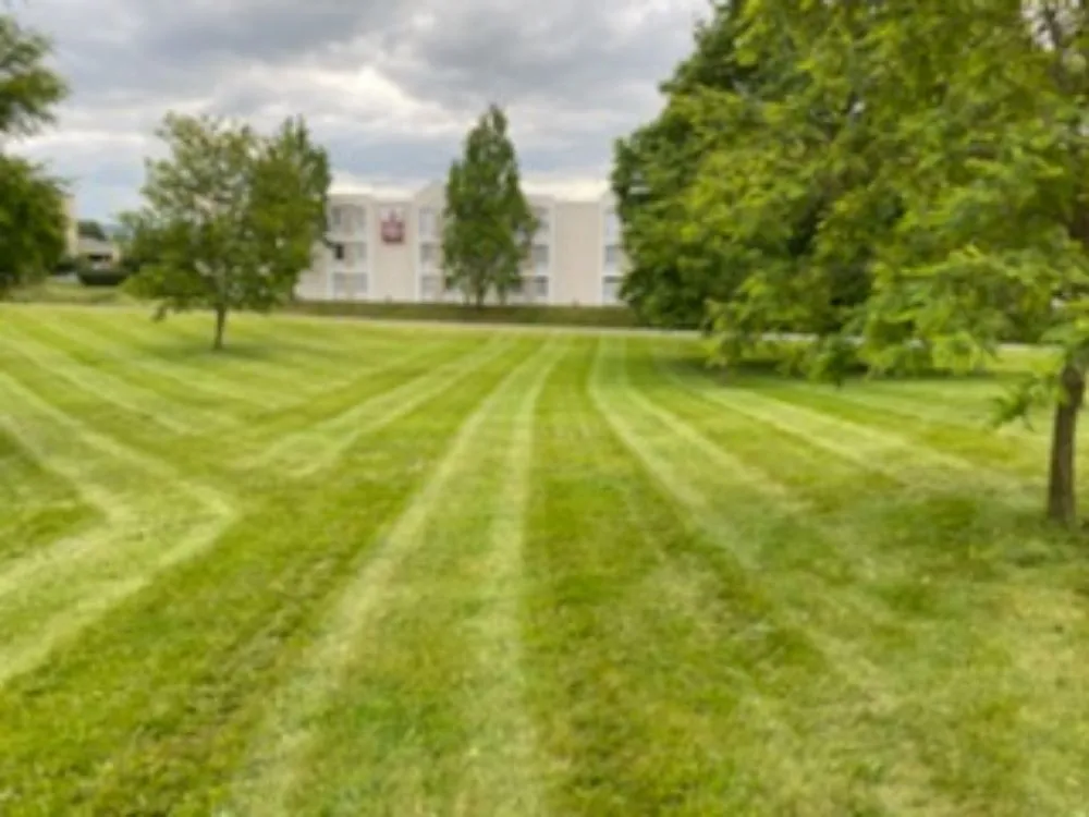 Reliable landscape design for beautiful yards across Goodview, VA - Gravely Lawn & Landscaping