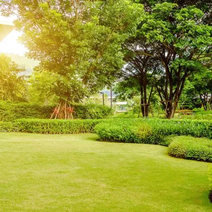 Custom yard cleanup service for outdoor upgrades in Goodview, VA by Gravely Lawn & Landscaping