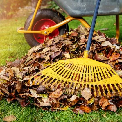 Custom lawn care service with custom design in Goodview, VA by Gravely Lawn & Landscaping