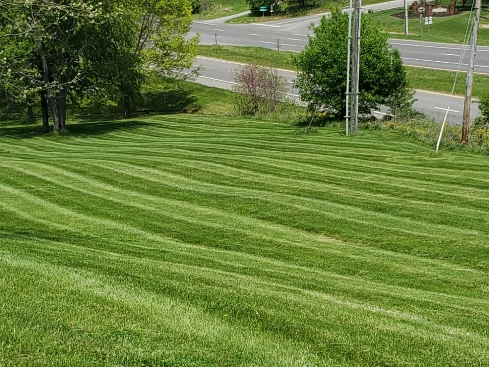 Trusted lawn mowing service for beautiful yards across Goodview, VA - Gravely Lawn & Landscaping
