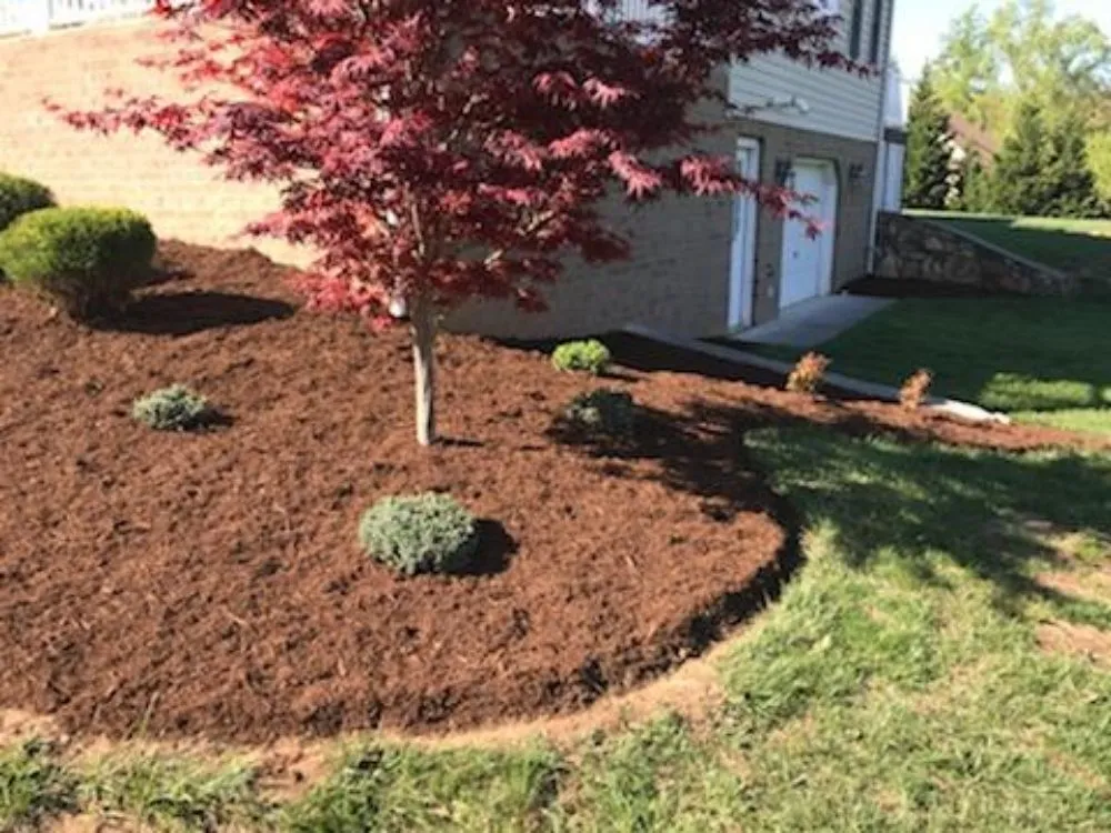 Custom yard maintenance experts serving Goodview, VA - Gravely Lawn & Landscaping