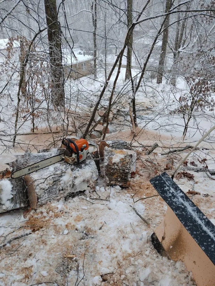Expert landscape installation in Alum Creek, WV by Gravely,s Tree and Lawn services