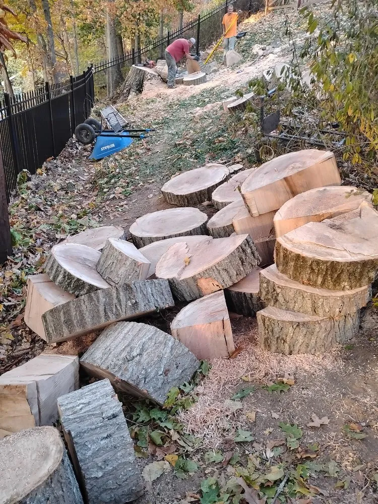 Custom yard maintenance in Alum Creek, WV - Gravely,s Tree and Lawn services