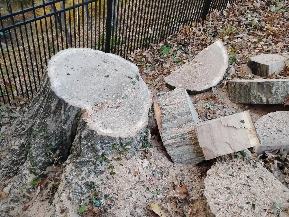 Professional landscape installation experts serving Alum Creek, WV - Gravely,s Tree and Lawn services