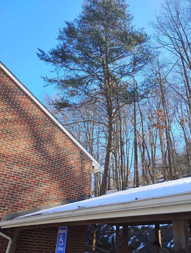 Reliable landscape design for outdoor upgrades across Alum Creek, WV - Gravely,s Tree and Lawn services