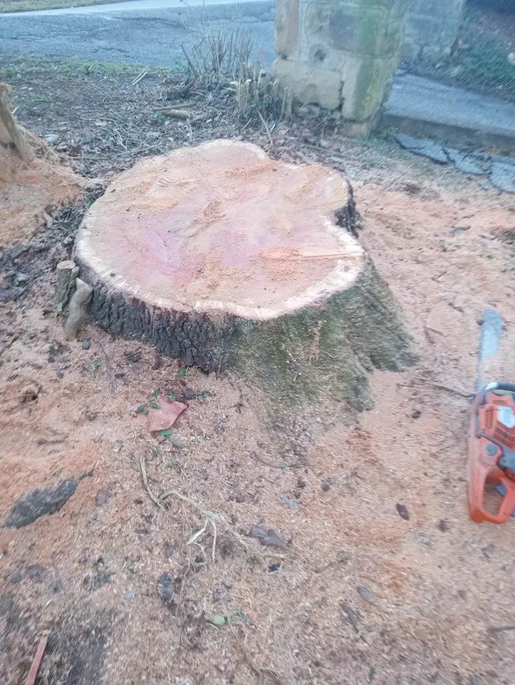 Local landscape design in Alum Creek, WV - Gravely,s Tree and Lawn services