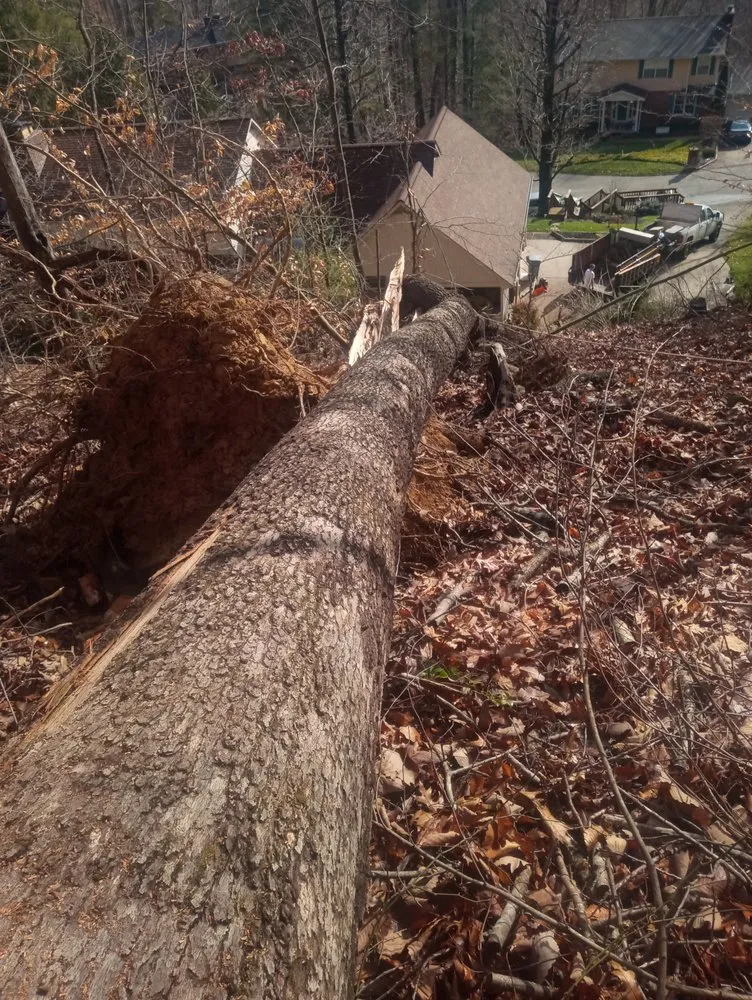 Reliable landscape installation experts serving Alum Creek, WV - Gravely,s Tree and Lawn services