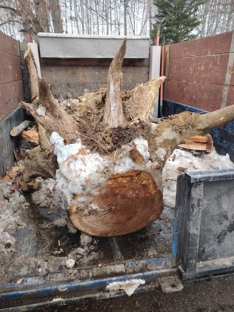 Top-rated yard maintenance for residential properties across Alum Creek, WV - Gravely,s Tree and Lawn services