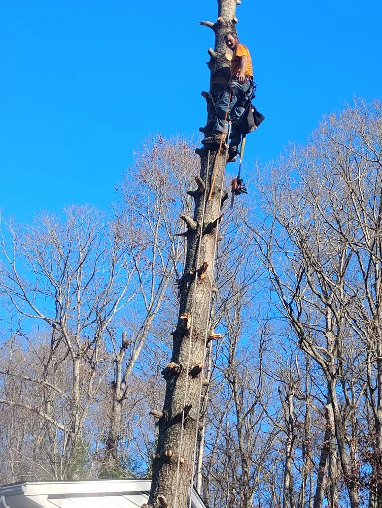 Affordable landscape installation in Alum Creek, WV - Gravely,s Tree and Lawn services