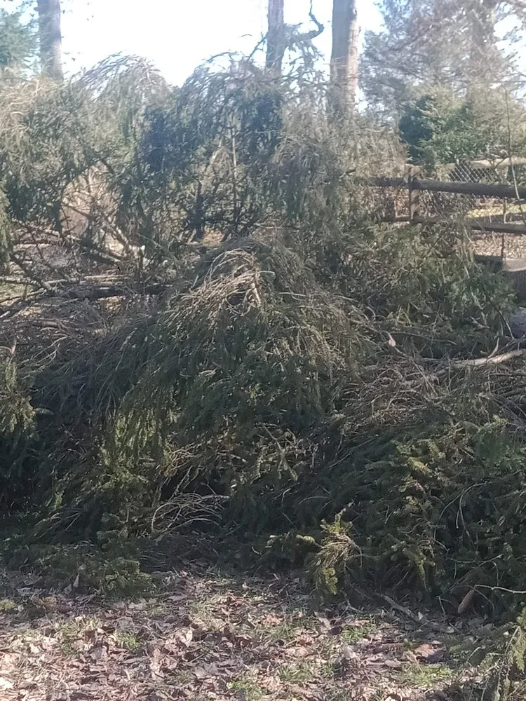 Top-rated landscape installation experts serving Alum Creek, WV - Gravely,s Tree and Lawn services