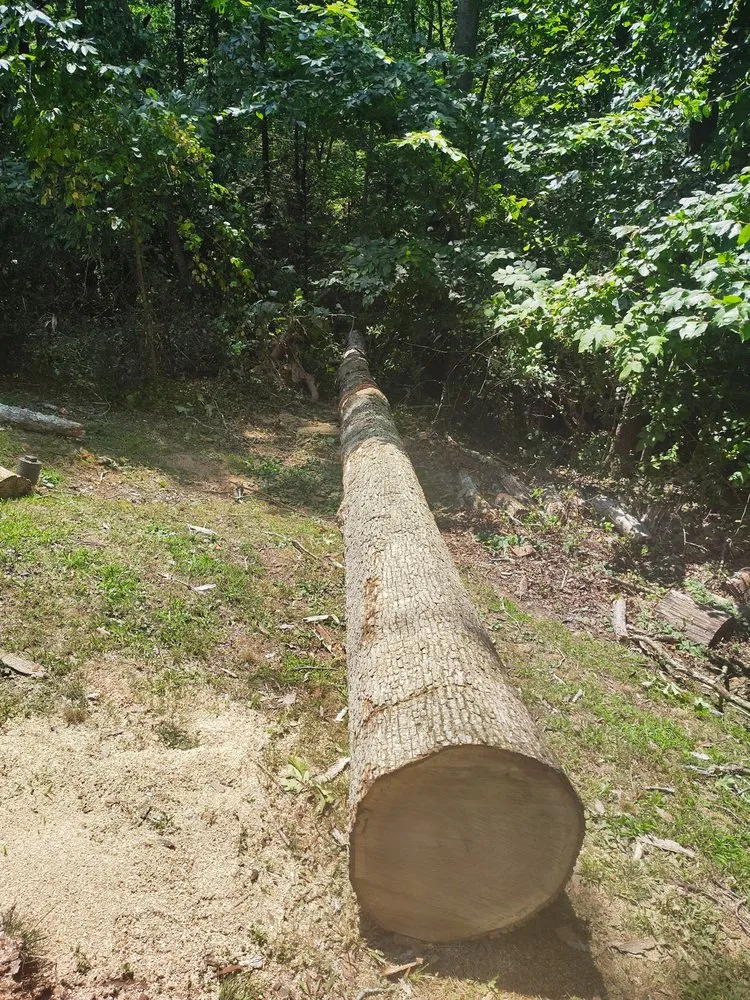 Top-rated garden landscaping near you across Alum Creek, WV - Gravely,s Tree and Lawn services