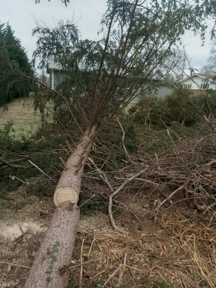 Local landscaping services in Alum Creek, WV by Gravely,s Tree and Lawn services