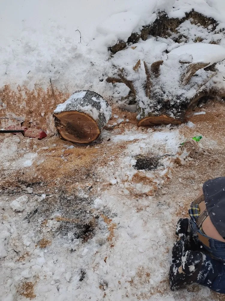 Local yard cleanup service experts serving Alum Creek, WV - Gravely,s Tree and Lawn services