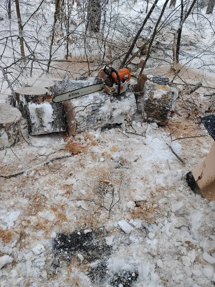 Top-rated residential landscaping in Alum Creek, WV - Gravely,s Tree and Lawn services