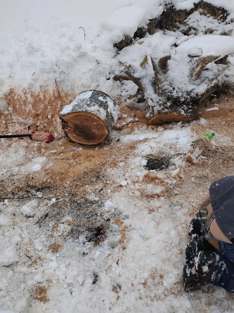 Top-rated lawn care service experts serving Alum Creek, WV - Gravely,s Tree and Lawn services