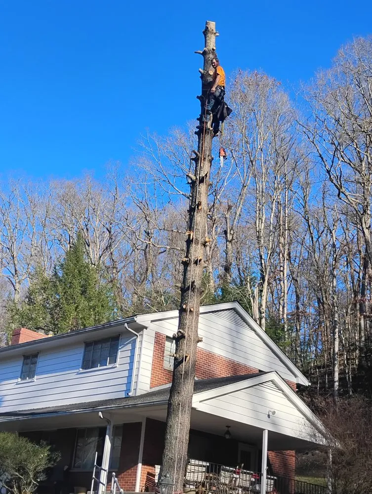 Expert yard maintenance in Alum Creek, WV - Gravely,s Tree and Lawn services