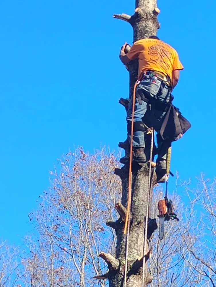 Custom landscaping services in Alum Creek, WV by Gravely,s Tree and Lawn services