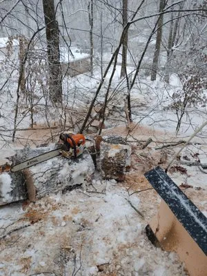 Gravely,s Tree and Lawn services