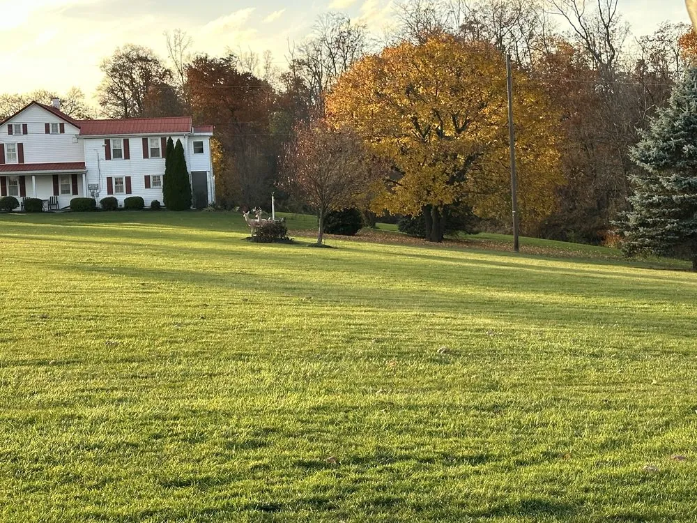 Professional yard cleanup service experts serving Carlisle, PA - Gravers Landscaping