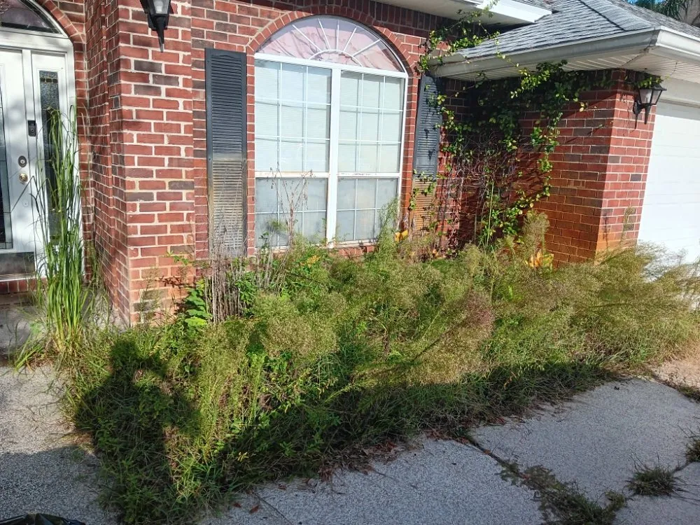 Trusted residential landscaping experts serving Palm Coast, FL - Graves Landscaping And Design