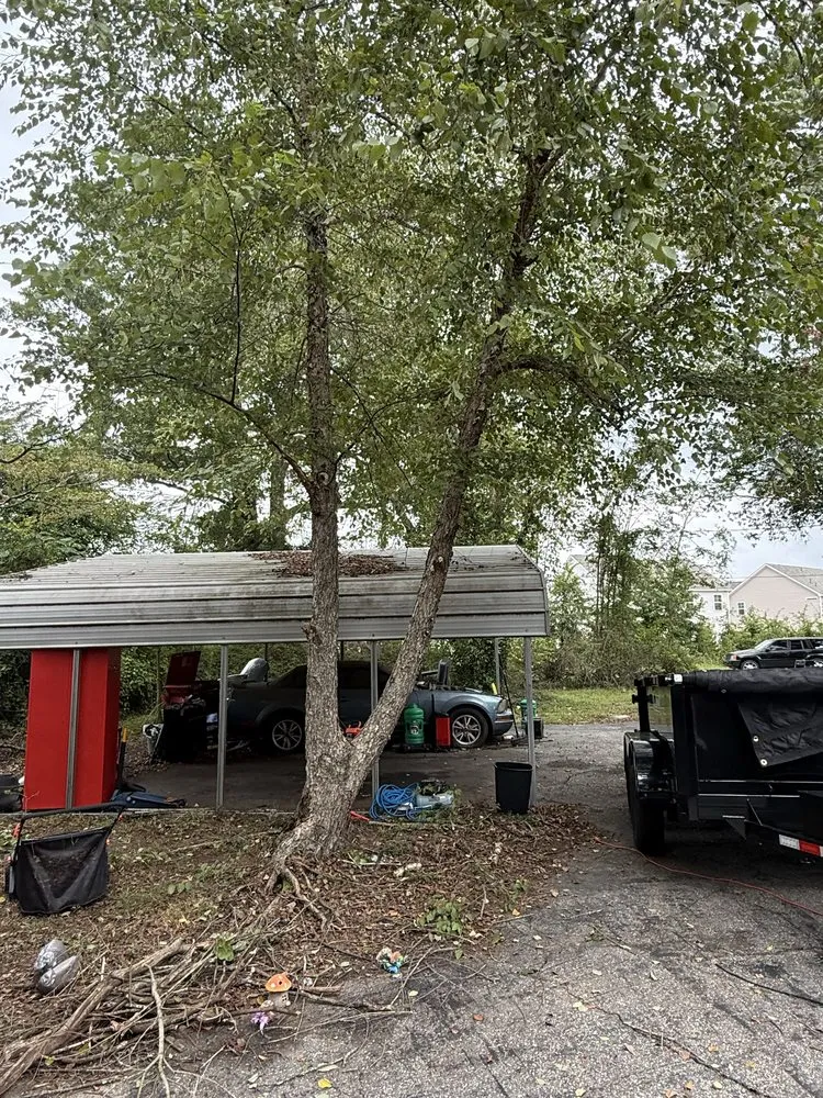 Professional lawn care service experts serving Florence, SC - Gravety Cutz