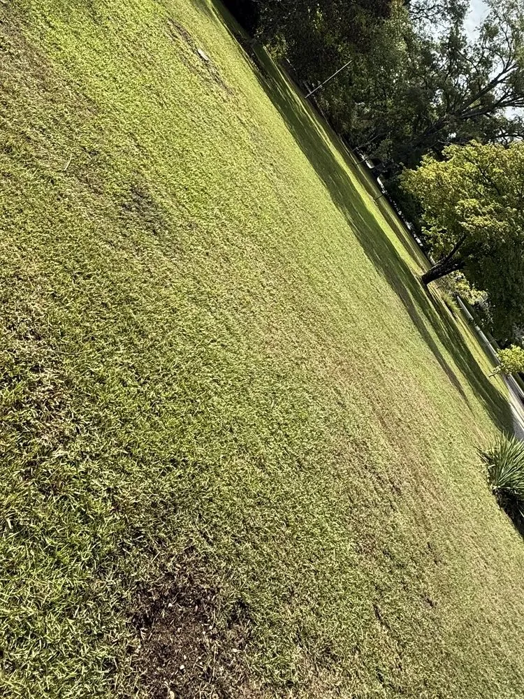 Reliable yard maintenance for year-round maintenance across Florence, SC - Gravety Cutz