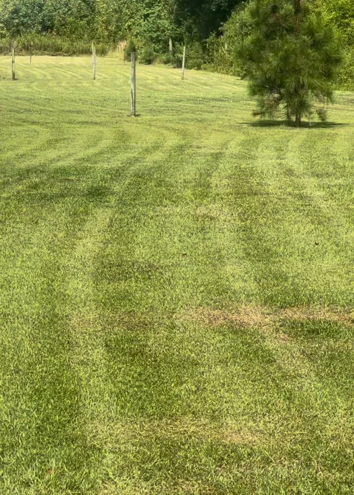 Top-rated yard cleanup service in Florence, SC by Gravety Cutz