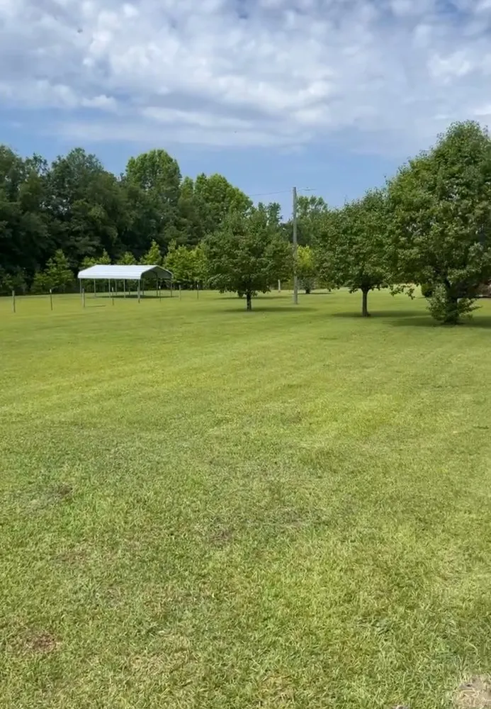 Top-rated lawn mowing service experts serving Florence, SC - Gravety Cutz