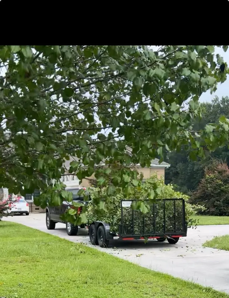 Expert landscape design in Florence, SC - Gravety Cutz