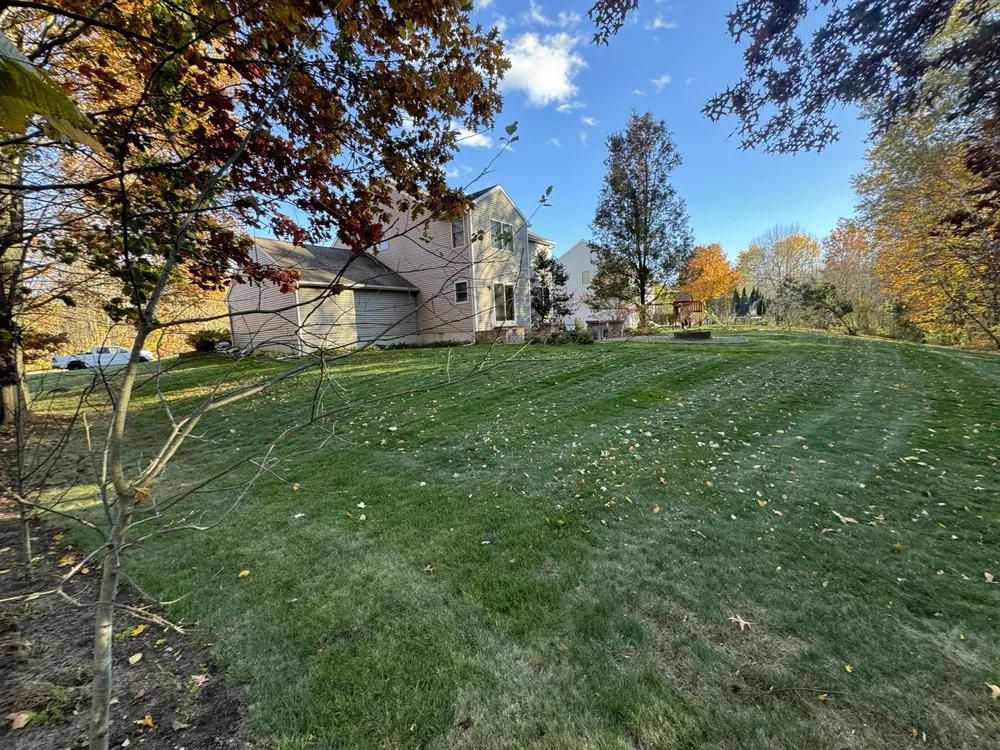 Top-rated yard cleanup service in Ballston Spa, NY by Gravity Property Solutions