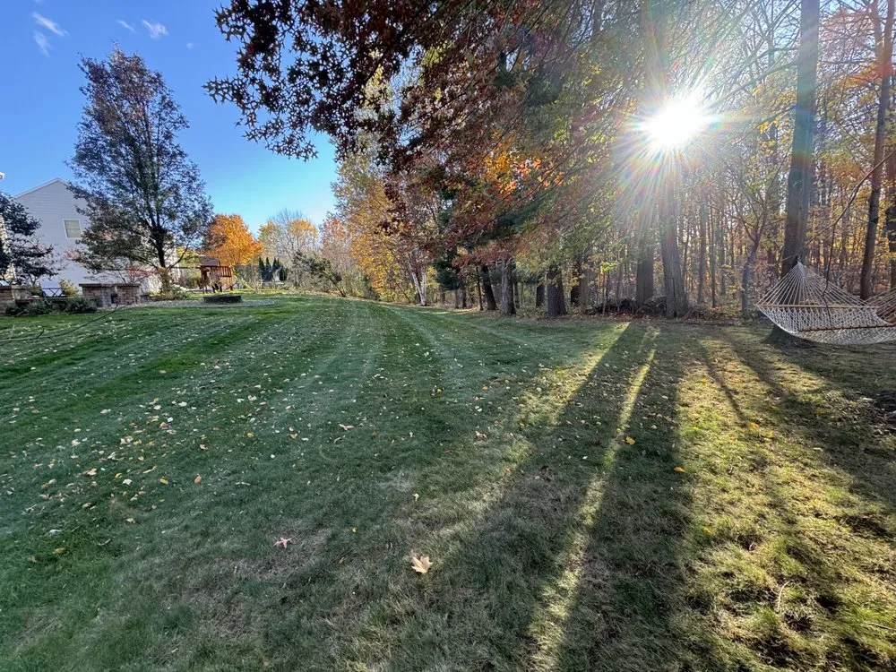 Professional outdoor landscaping in Ballston Spa, NY - Gravity Property Solutions