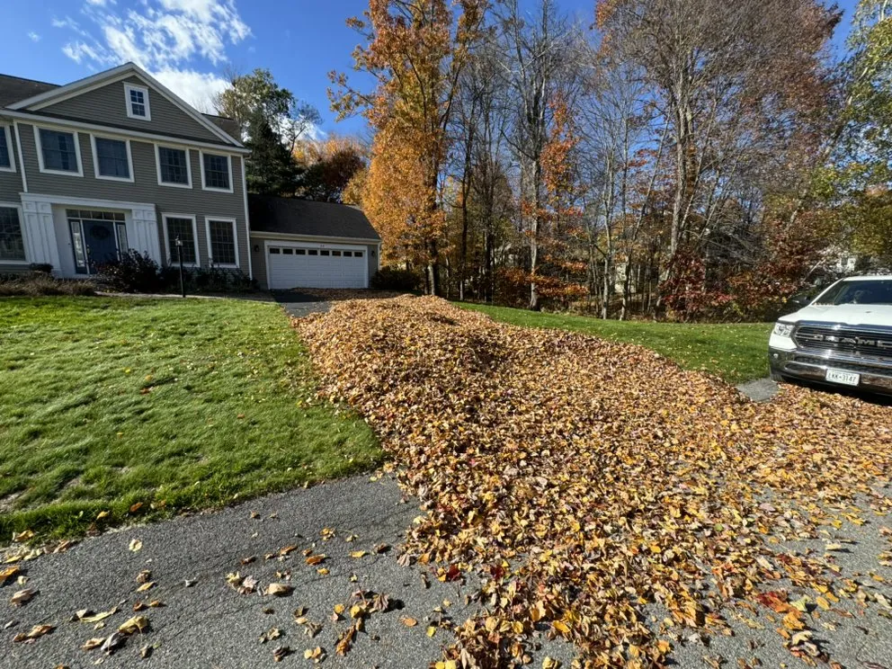 Expert yard cleanup service with custom design across Ballston Spa, NY - Gravity Property Solutions
