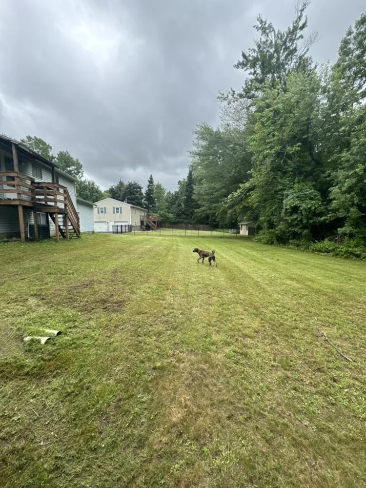 Top-rated landscape installation experts serving Ballston Spa, NY - Gravity Property Solutions