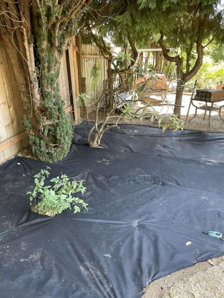 Custom yard cleanup service in Scappoose, OR by Gray and Eggers Lawn Care