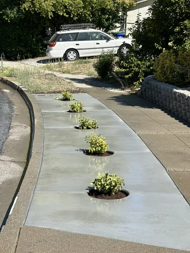 Expert lawn care service with custom design across Morgan Hill, CA - Gray Concrete