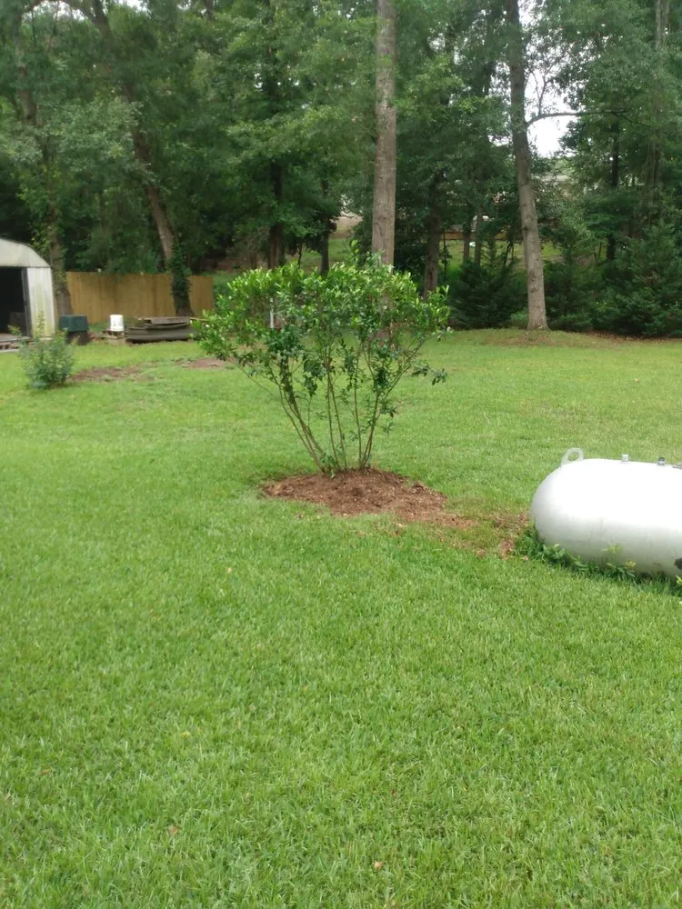 Custom lawn care service experts serving Warner Robins, GA - Gray Landscaping And Handyman