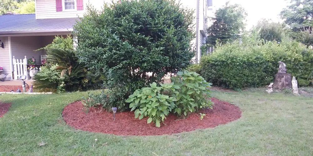 Local landscaping services in Warner Robins, GA - Gray Landscaping And Handyman
