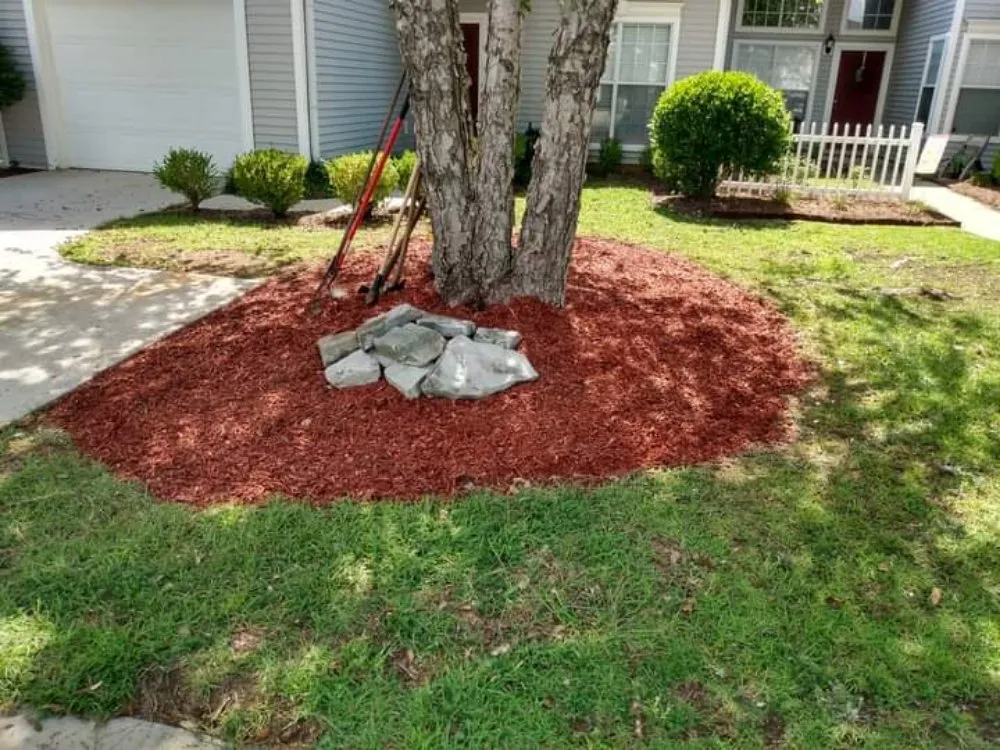 Trusted lawn mowing service in Warner Robins, GA - Gray Landscaping And Handyman