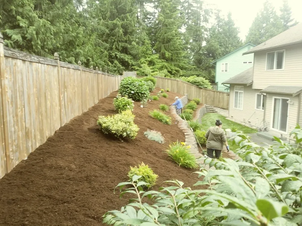 Top-rated landscape design experts serving Everett, WA - Gray Olive Landscaping and Home cleaning services