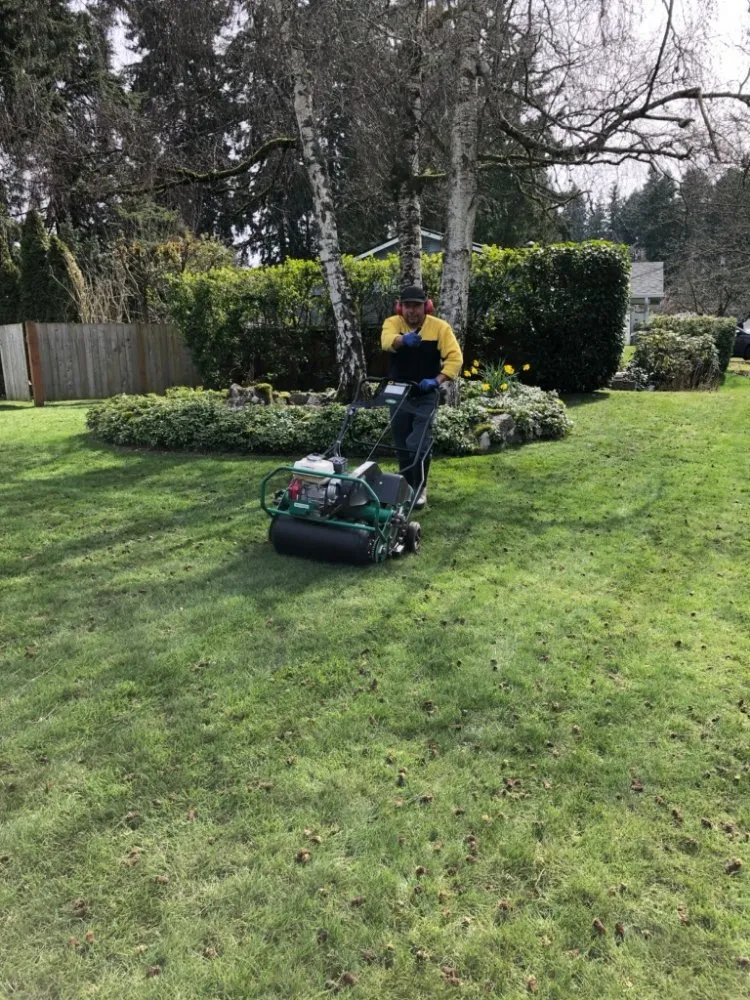 Custom residential landscaping experts serving Everett, WA - Gray Olive Landscaping and Home cleaning services