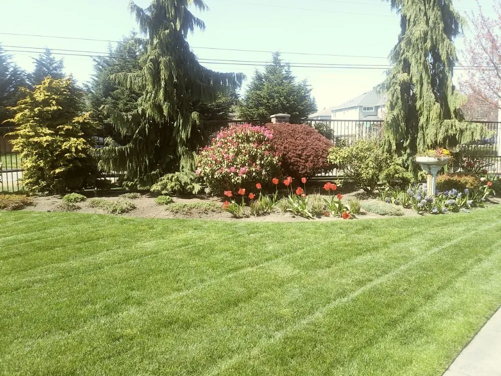 Trusted landscaping services with custom design in Everett, WA by Gray Olive Landscaping and Home cleaning services
