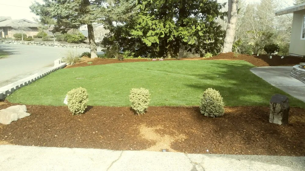 Expert landscaping services in Everett, WA - Gray Olive Landscaping and Home cleaning services