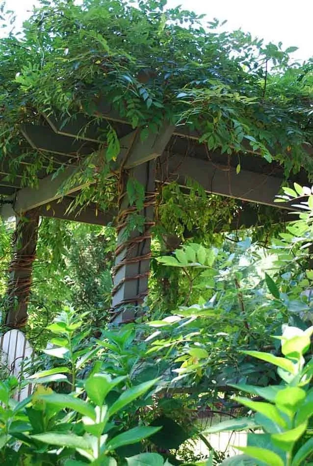 Trusted outdoor landscaping in Pickens, SC - Gray Shovel Outdoor Living & Landscapes