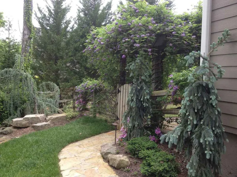 Custom outdoor landscaping for year-round maintenance across Pickens, SC - Gray Shovel Outdoor Living & Landscapes