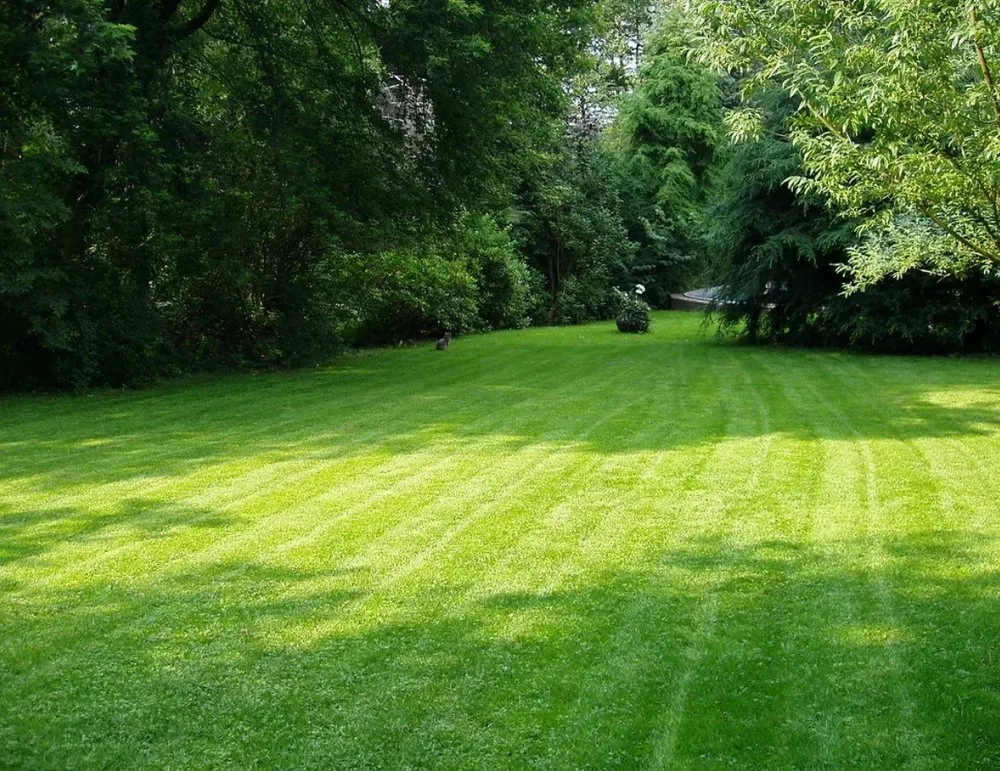 Expert landscaping services experts serving Sanford, NC - Gray Yard Care