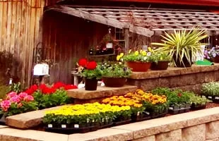 Top-rated landscaping services experts serving Mohnton, PA - Graybuck Gardens