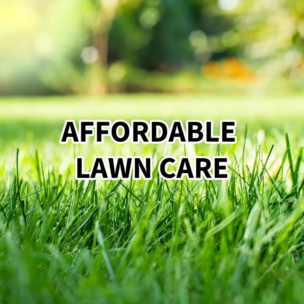 Top-rated residential landscaping in Atlanta, GA - Grayface85